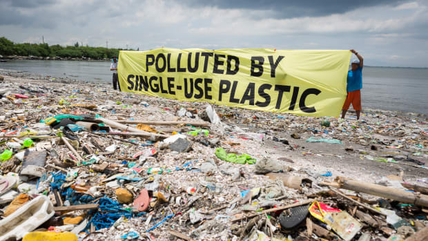 Single-Use Plastic Pollution