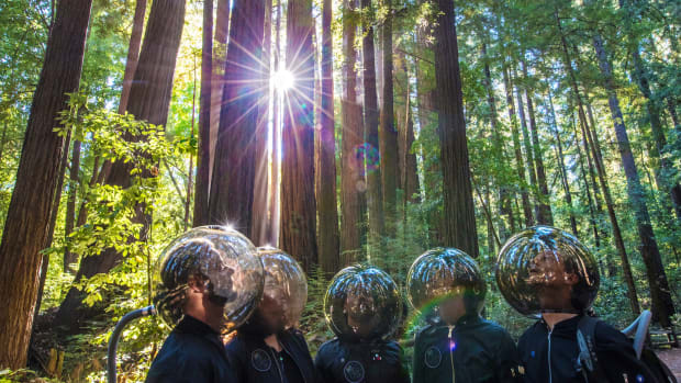 sts9 in bubble helmets in a forest