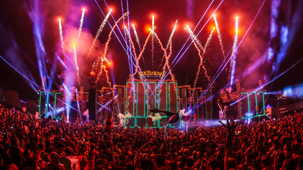 Nocturnal Wonderland