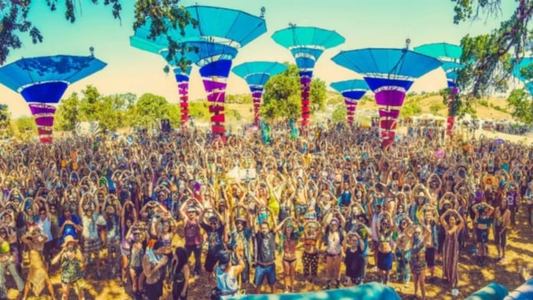 The Do LaB Joins Activists to Combat Sexual Assault at Festivals