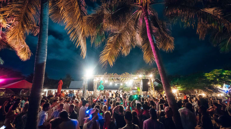 Your Paradise Fiji Makes a Case for Palm Trees in the Post-EDM Festival Landscape