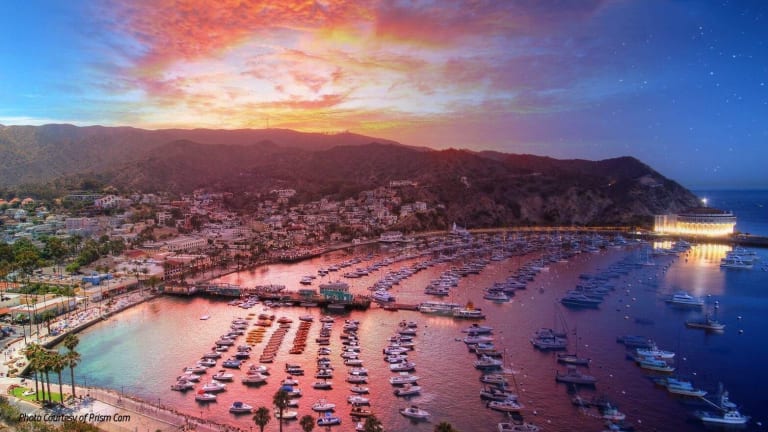 Groove Cruise Announces Groove Island 2019: a One-of-a-Kind Dance Music Experience on Catalina Island