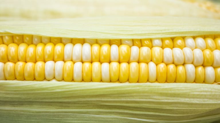 This EDM Remix of the Viral "Corn Kid" Song Is A-Maize-Ing