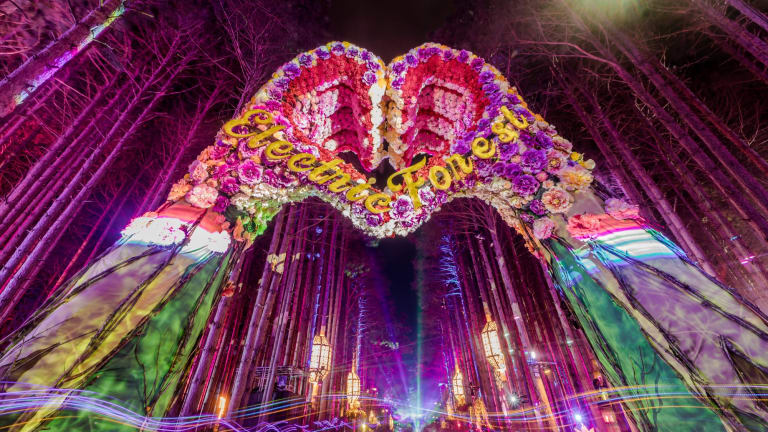 Electric shop forest 2019