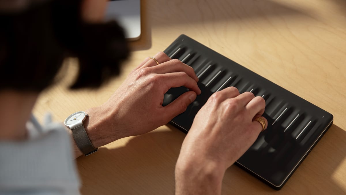 Buy roli best sale seaboard block