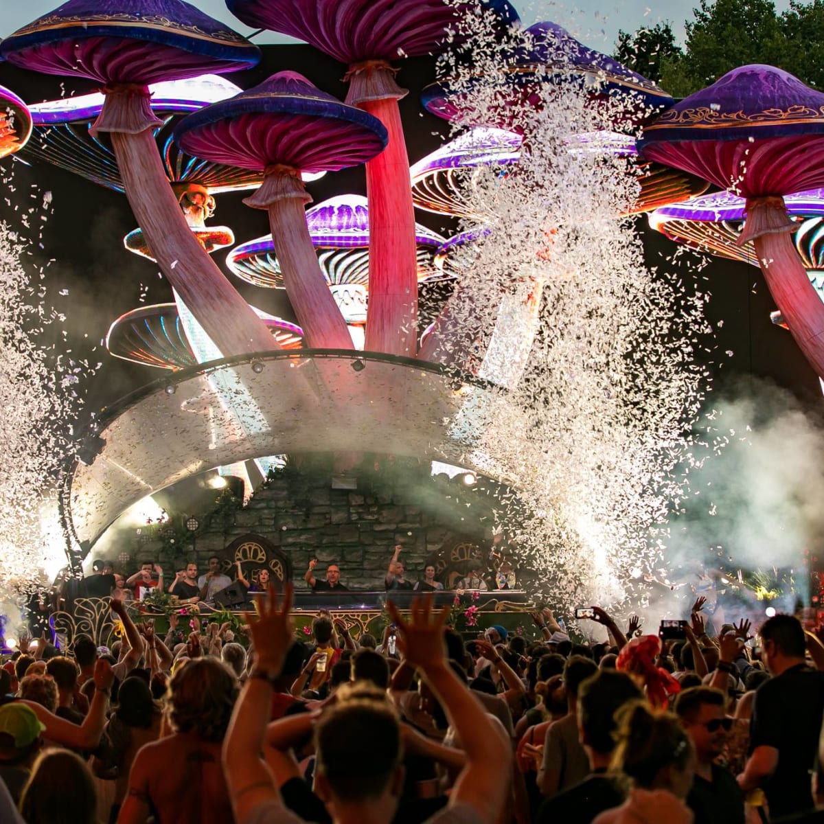 The Tomorrowland 2019 Aftermovie is Here and It is Epic  - The  Latest Electronic Dance Music News, Reviews & Artists