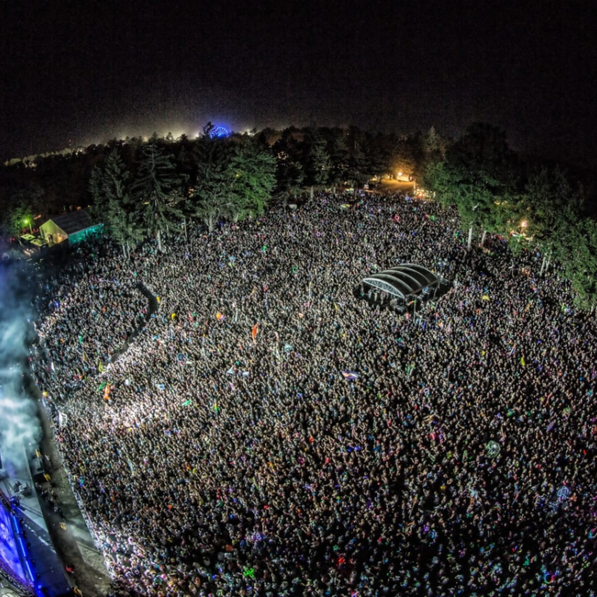 Electric Forest