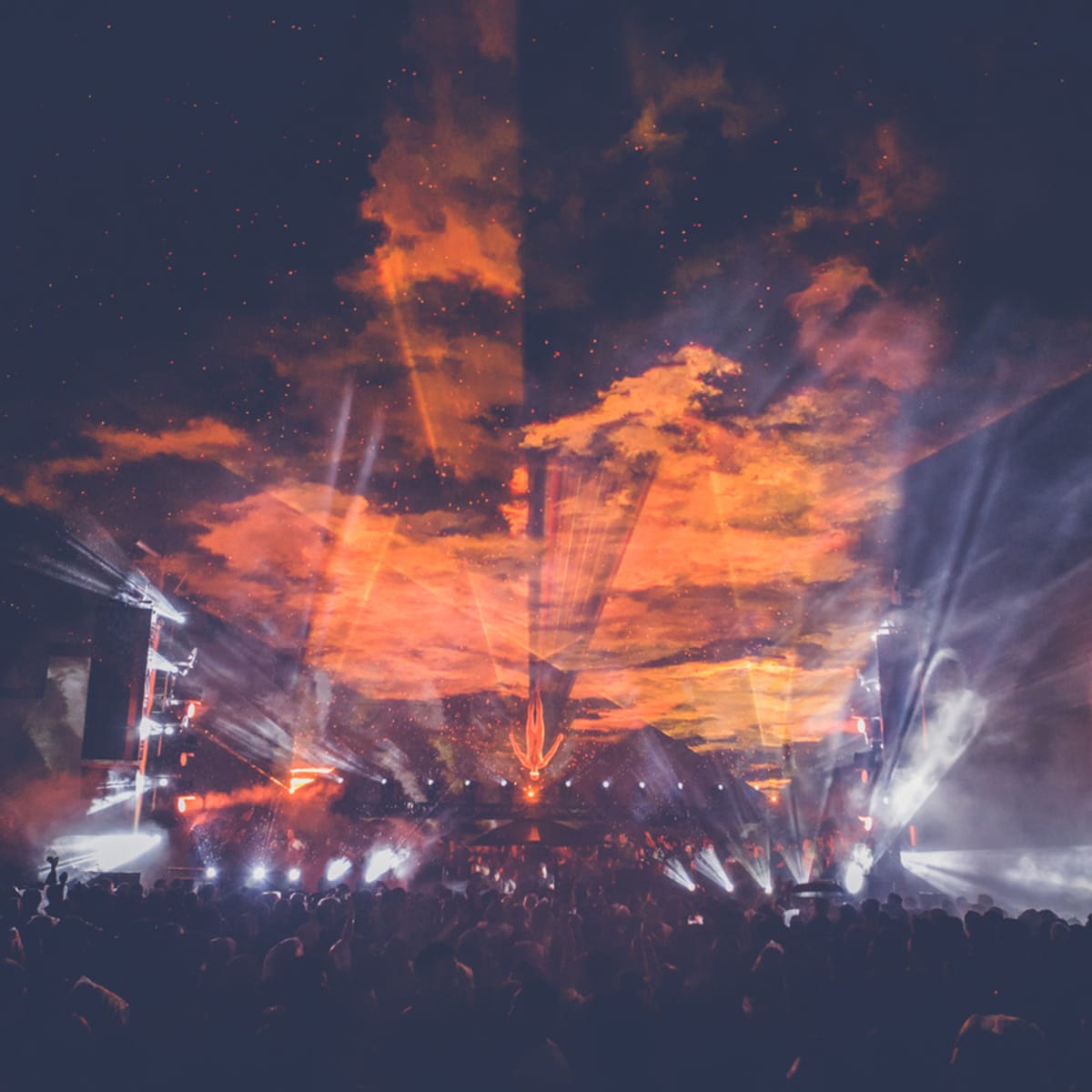 Afterlife music festival