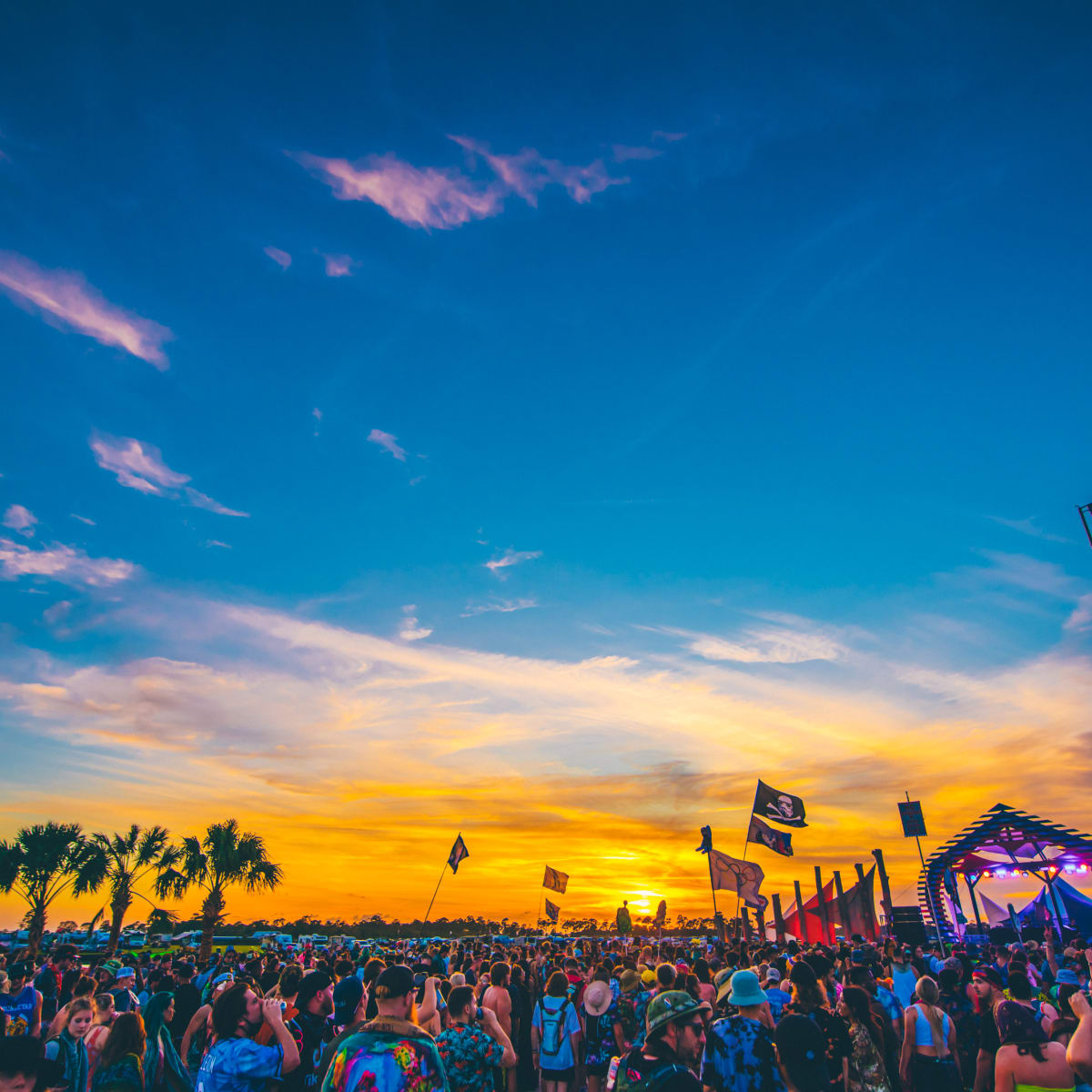 Insomniac Announces New 2021 Oceanfront House Music Festival, Day Trip -   - The Latest Electronic Dance Music News, Reviews & Artists
