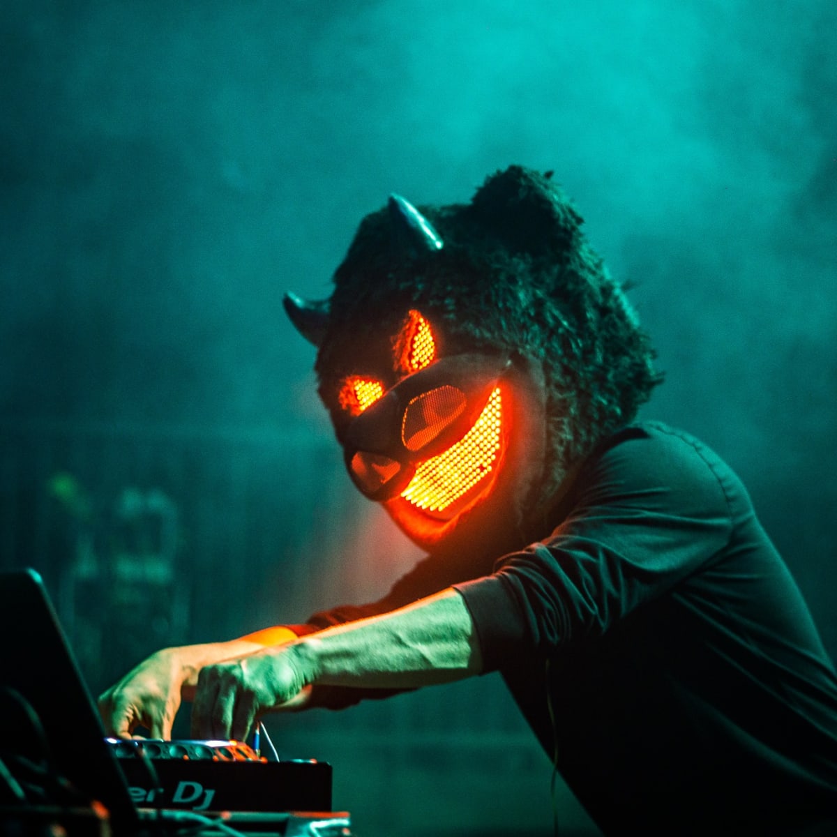 bear grillz mask