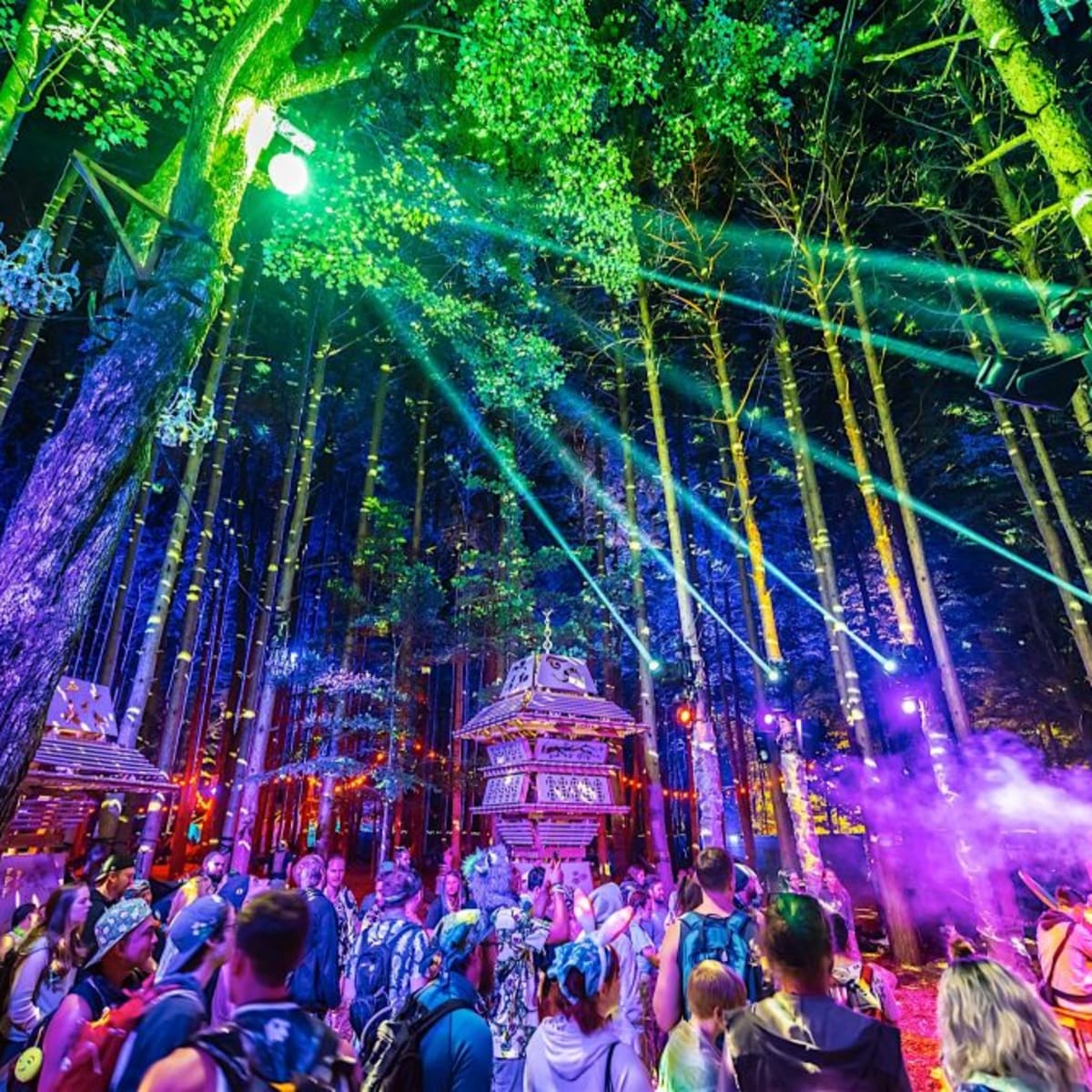 Forest festival new arrivals