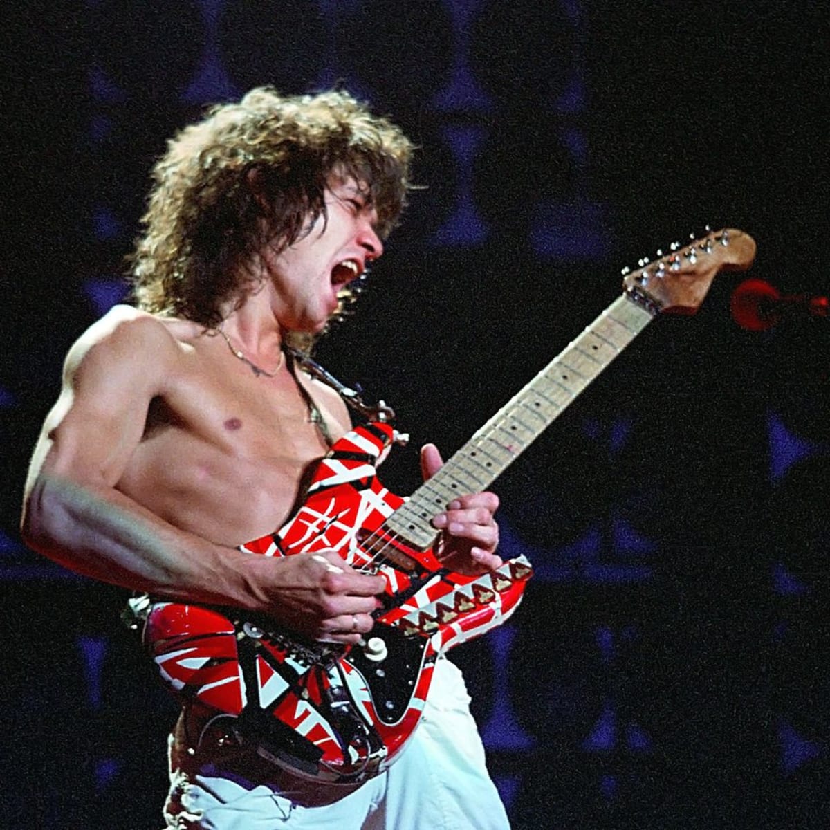 Eddie van discount halen stratocaster