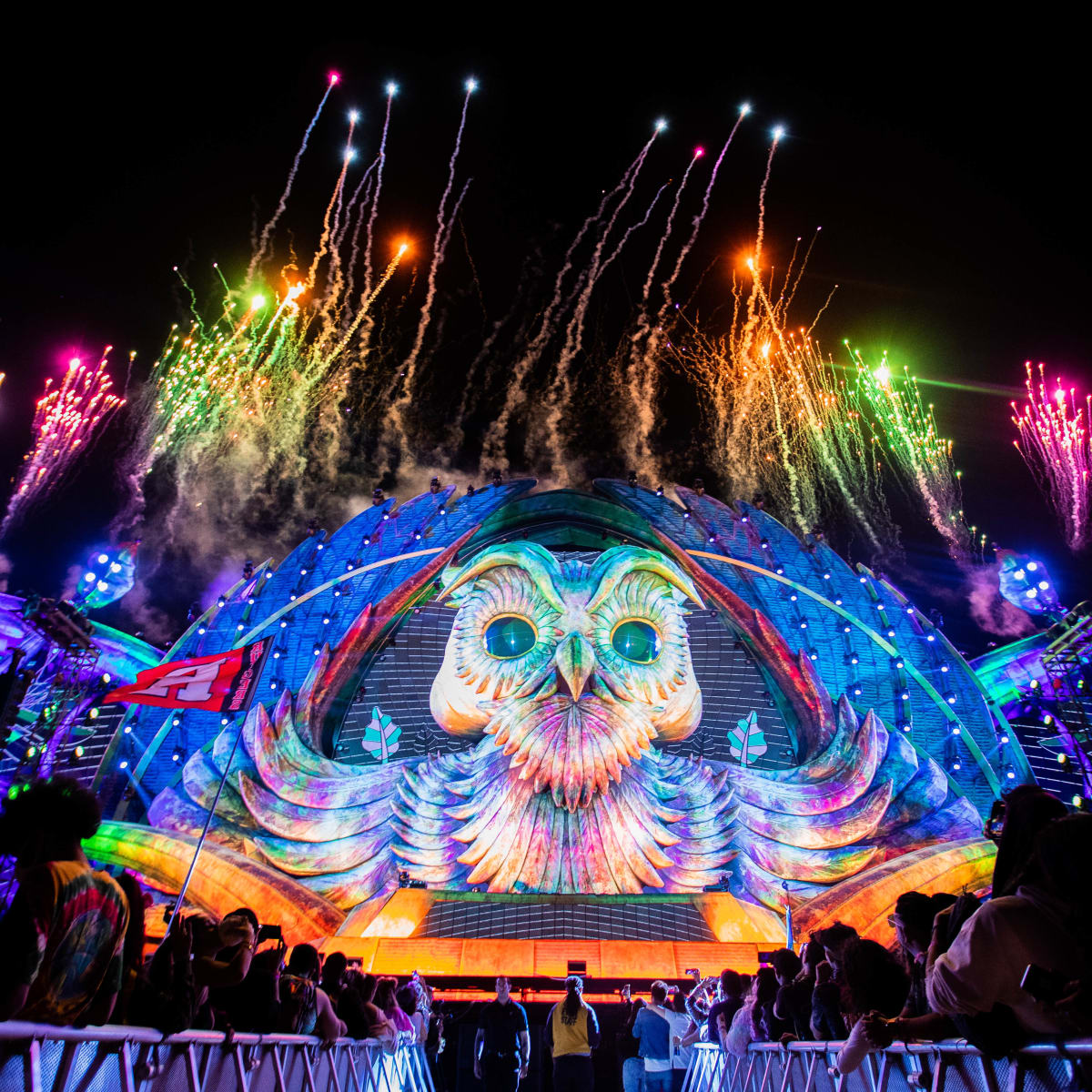 Edclv shop