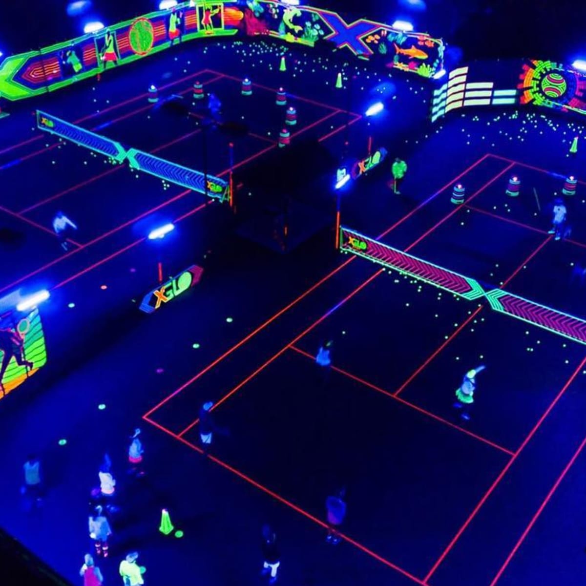 Light up new arrivals pickleball