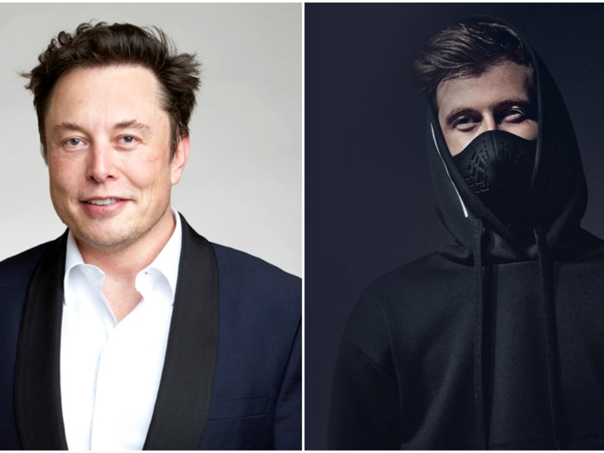 Alan Walker Donates $100K To #Teamtrees, Elon Musk Raises Him A Digit -  Edm.Com - The Latest Electronic Dance Music News, Reviews & Artists