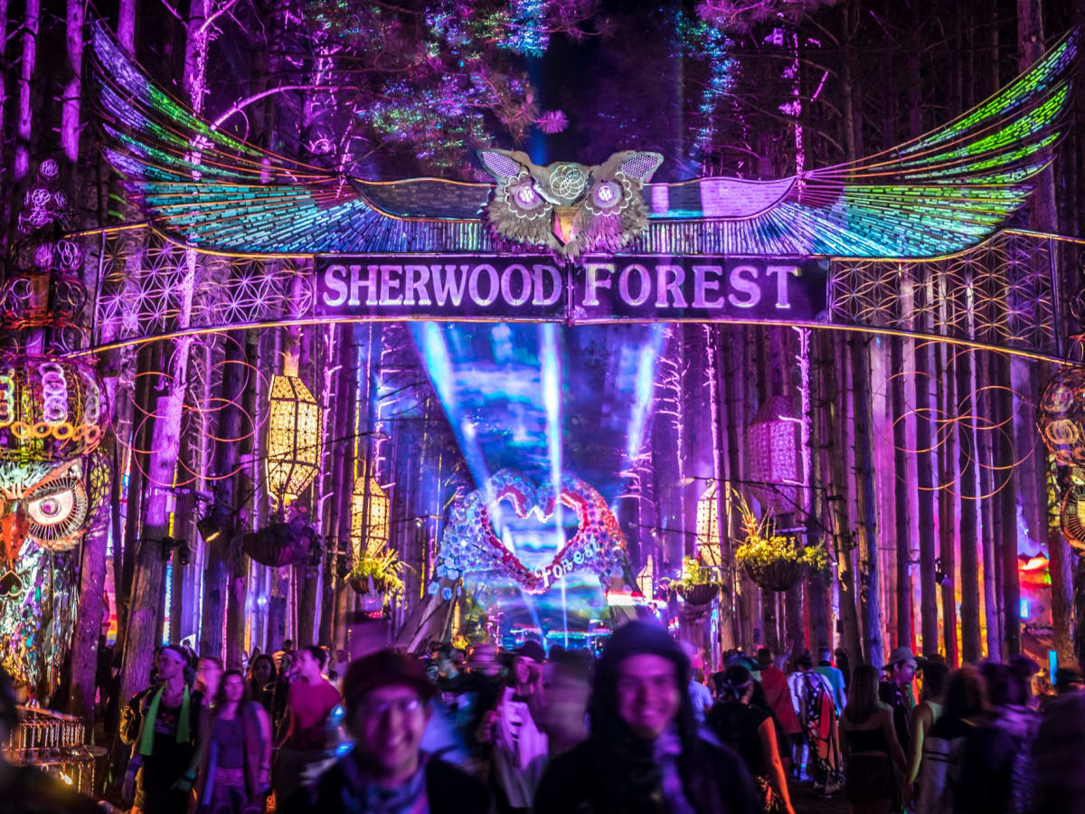 No Electric Forest, No Problem: 