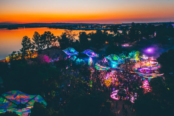 Lightning in a Bottle 2019