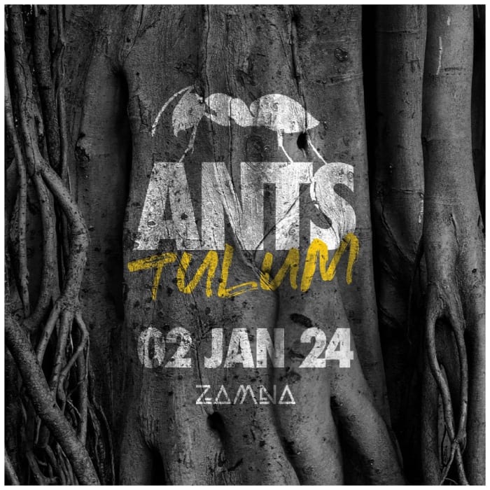 The Ultimate Guide To The 2024 Zamna Festival In Tulum EDM Com The   Ants Tulum 2024 