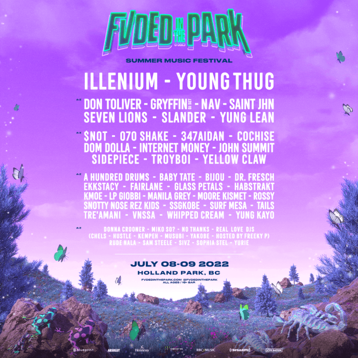 FVDED In The Park