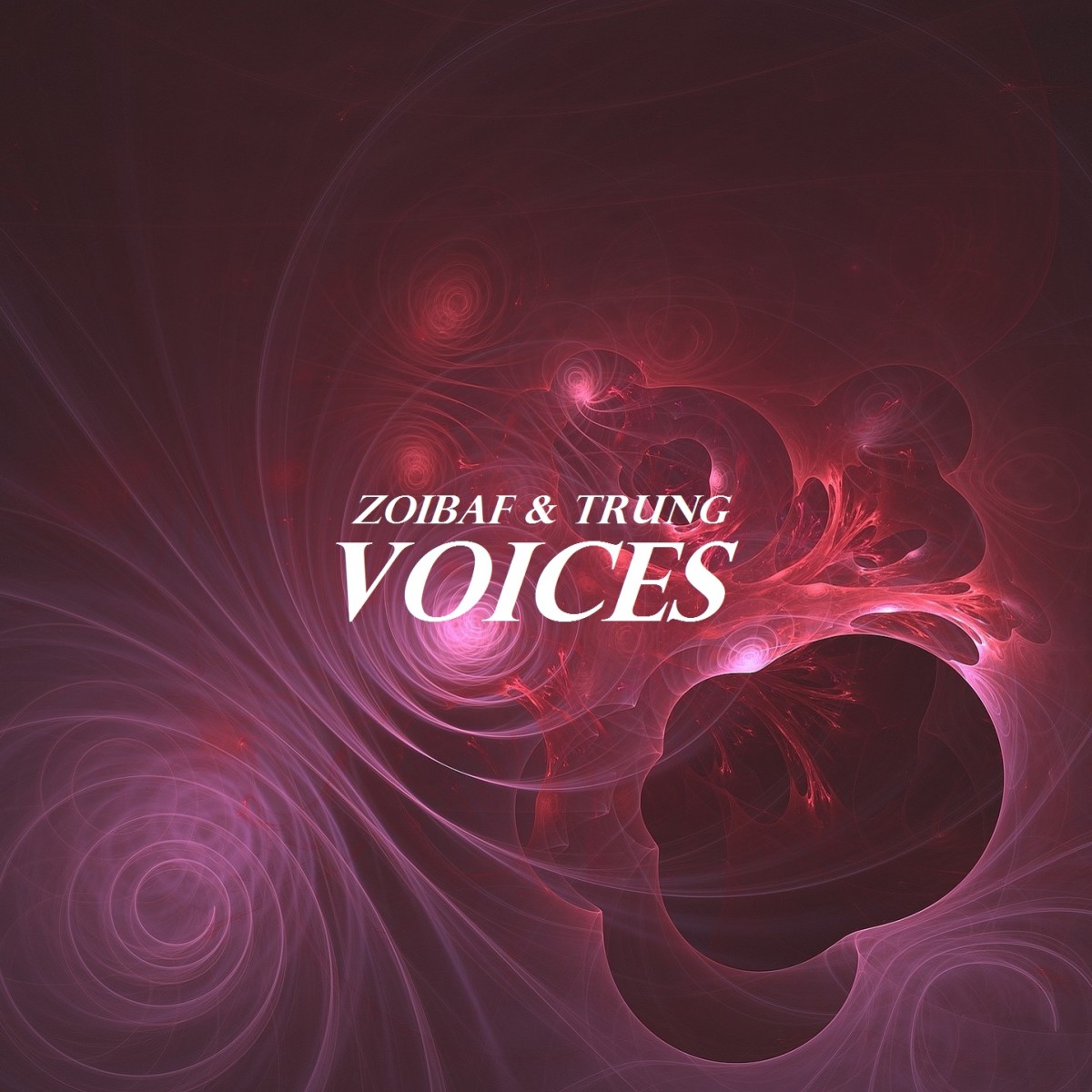 Zoibaf & TRUNG - Voices (ALBUM ART)