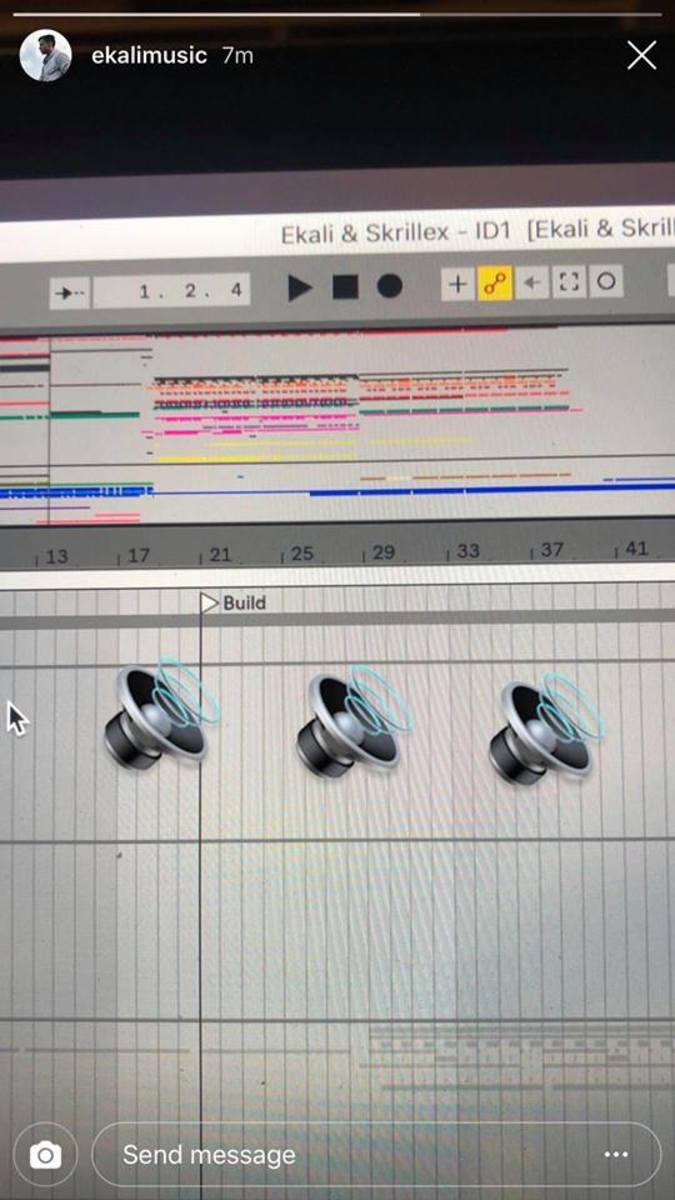 A photo taken of Ekali's computer screen while a project file of his apparent Skrillex collaboration was open.