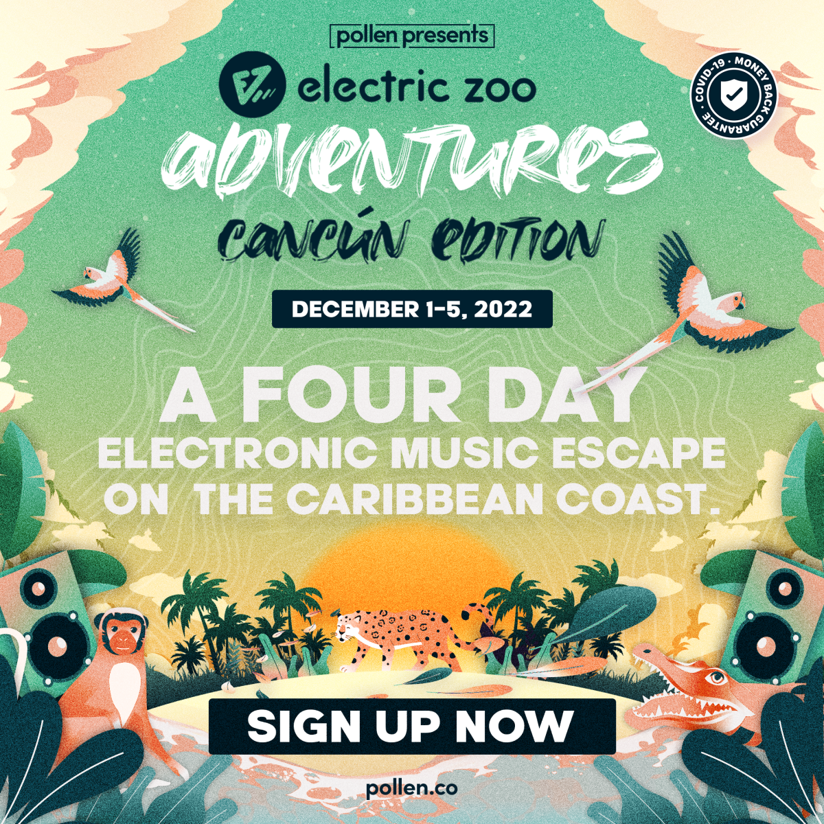 Electric Zoo Adventures: Cancún Edition