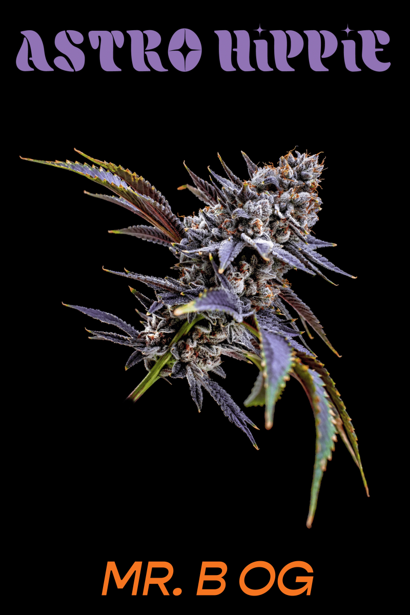 The "Mr. B OG" strain of GRiZ's new Astro Hippie cannabis line.