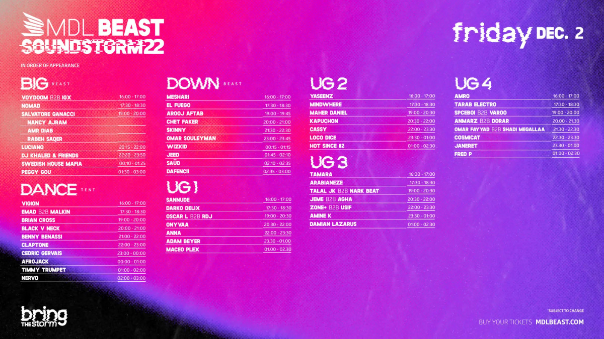 MDLBEAST Soundstorm 2022, December 2 lineup. 