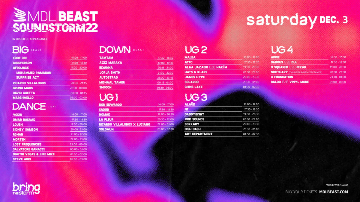 MDLBEAST Soundstorm 2022, December 3 lineup. 