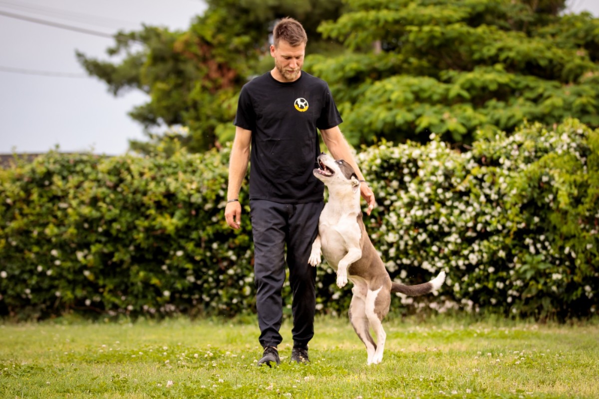 Filippo Moretti and Liam, the dog formerly owned by Avicii.